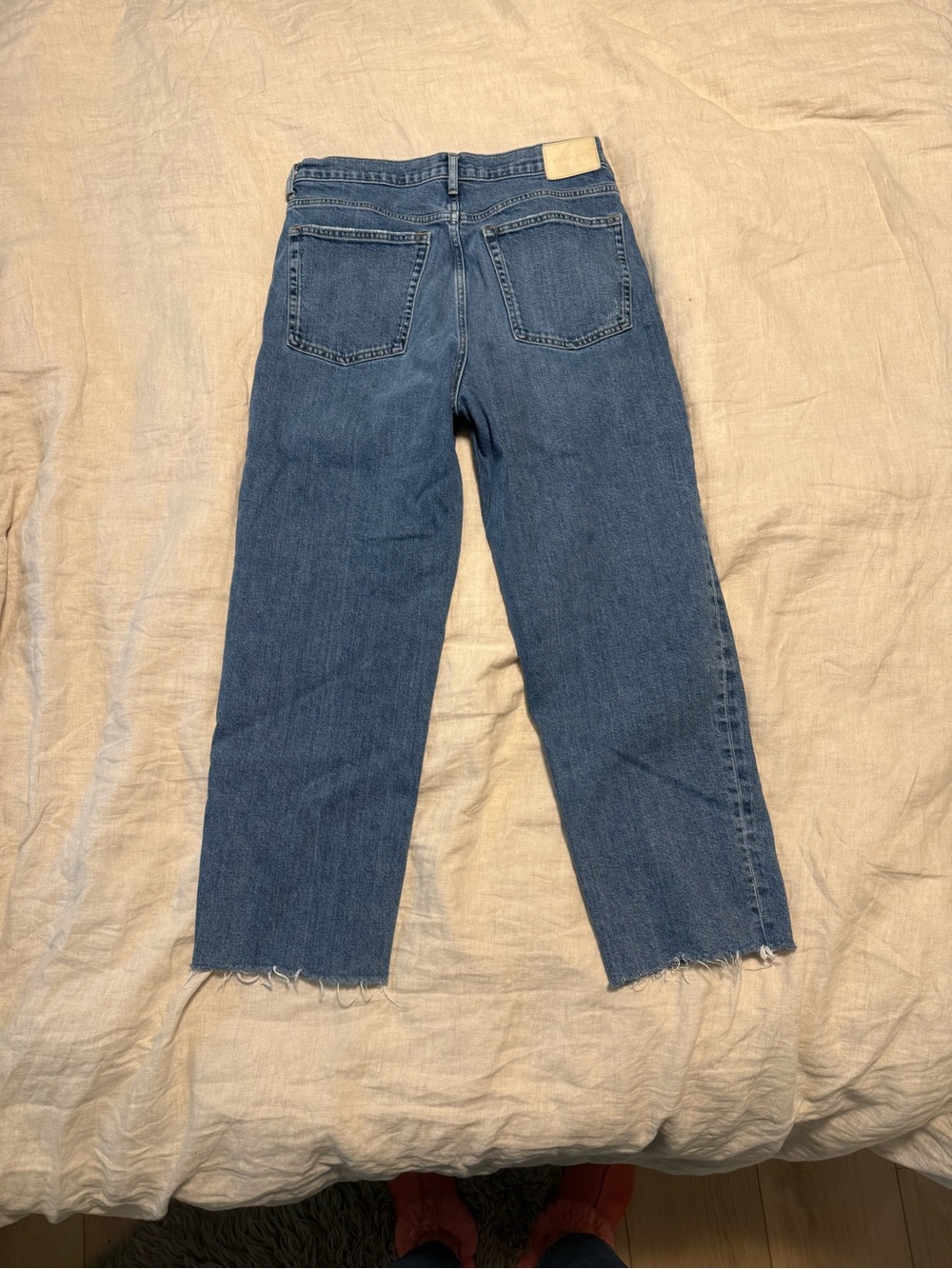Everlane way high jeans 31